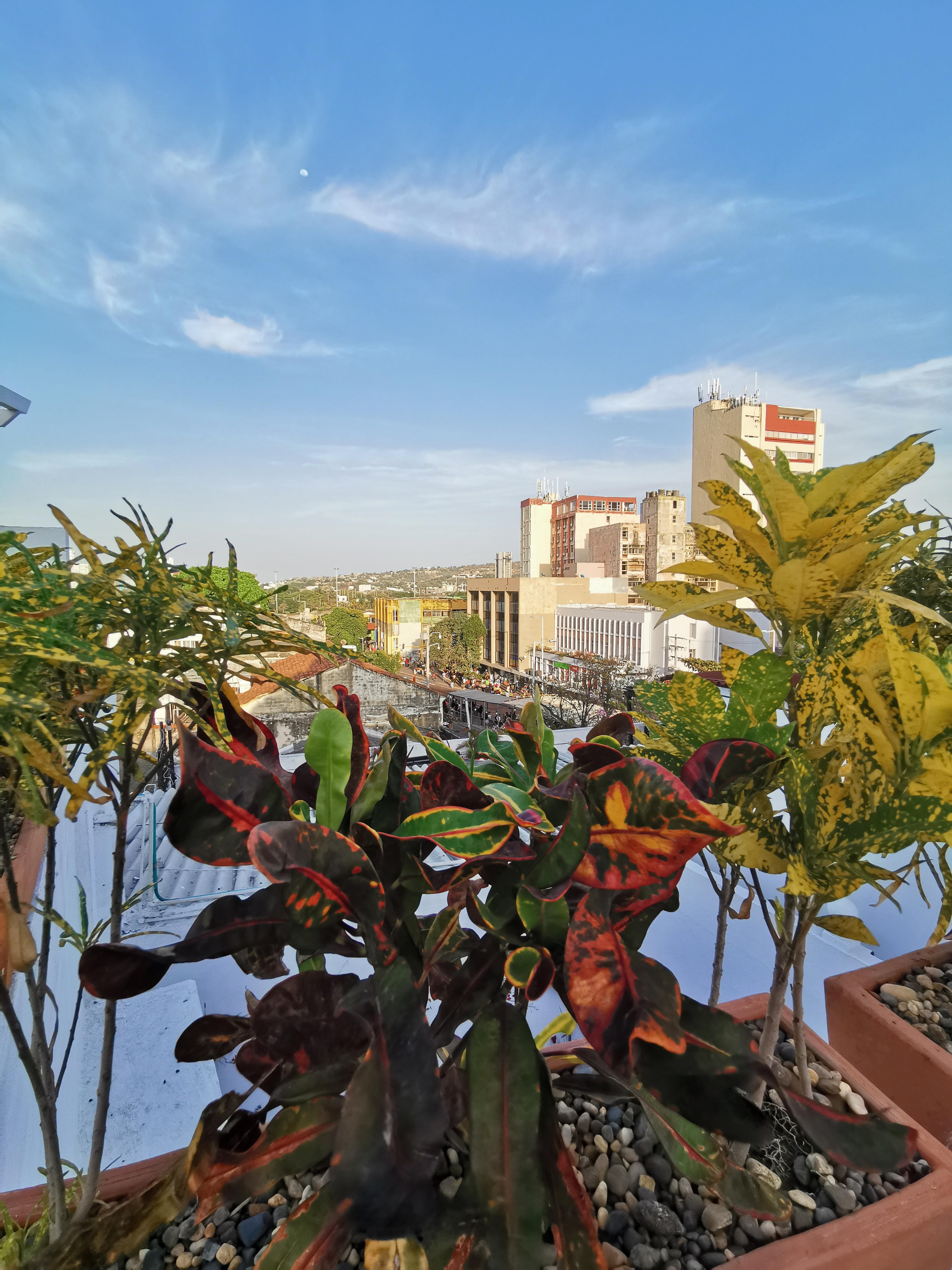 Luka Cartagena Hotel 외부 사진